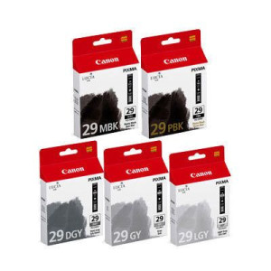 PGI-29 MBK/PBK/DGY/GY/LGY Multi