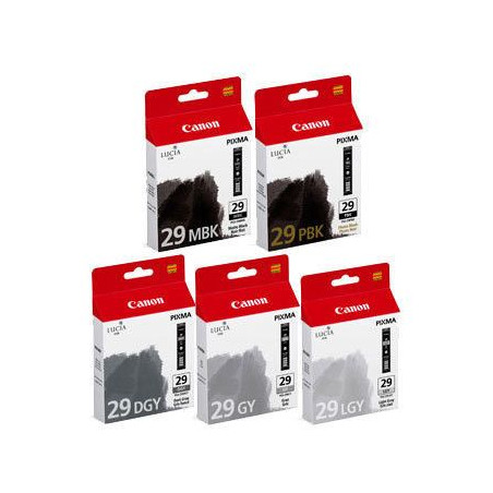 PGI-29 MBK/PBK/DGY/GY/LGY Multi
