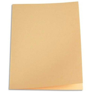 Paquet de 250 sous-chemises en papier recyclé 60 grammes - coloris bulle