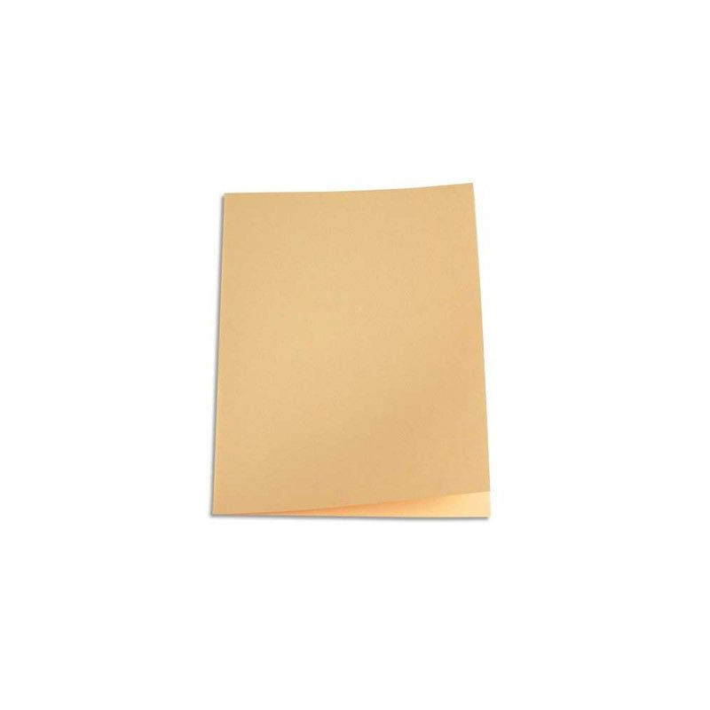 Paquet de 250 sous-chemises en papier recyclé 60 grammes - coloris bulle