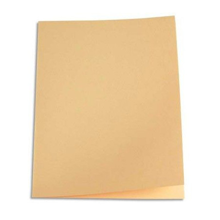 Paquet de 250 sous-chemises en papier recyclé 60 grammes - coloris bulle