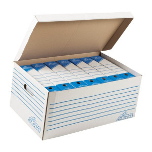 Conteneur 37,5x63x29 En Carton Ondulé Blanchi Avec Couvercl